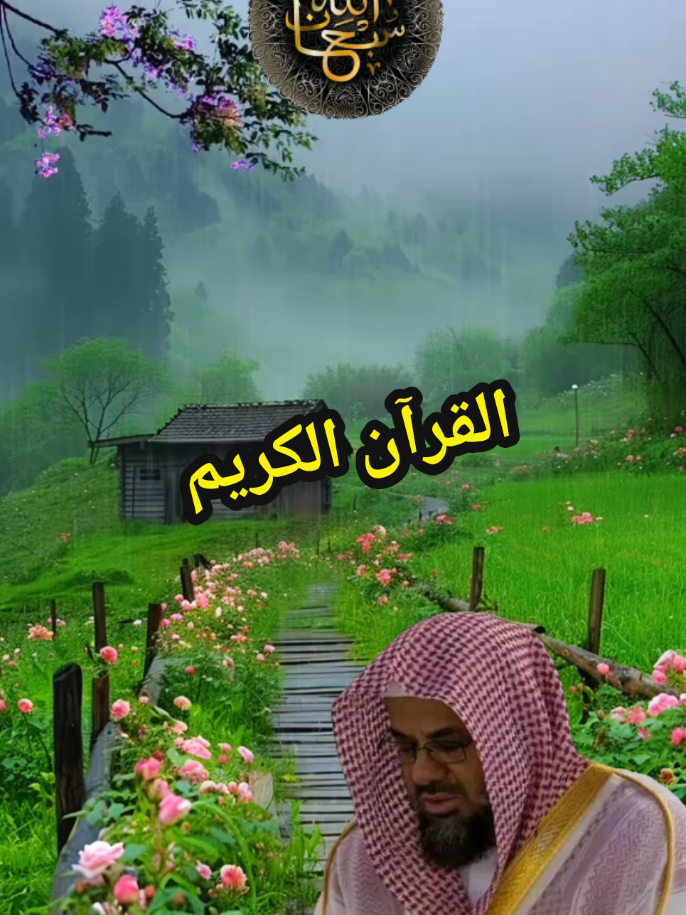 #القران_الكريم #تلاوة_خاشعة #راحة_نفسية #ارح_سمعك_بالقران #ماشاءالله_تبارك_الله 