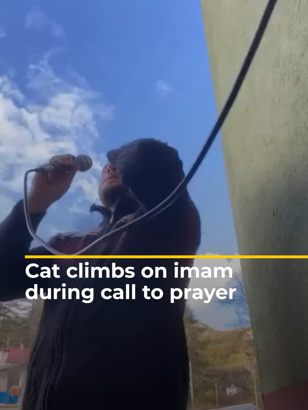 A cat was filmed climbing on the imam of a mosque in the Turkish city of Kastamonu as he was reciting the Islamic call to prayer.