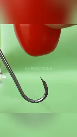 🎣 The Secret Bait Trick That Even Smart Fish Can’t Resist😇! ‎#shorts_trending_viral #foryou #viral #fyp #creatorsearchinsights 