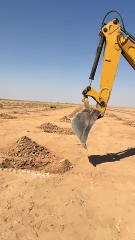 توريد جميع أنواع النخيل معا التوصيل لا جميع أنحاء المملكة #القصيم_بريده_عنيزه_الرس_البكيرية_البدائع #بيشه_الجنوب_عسير_ابها_الرياض_الدمام 