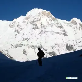 How Difficult Is the Annapurna Base Camp Trek? The ABC trek is not extremely difficult, but it does require good fitness, strong determination, and 5–7 hours of walking each day. The trail has many stone steps, gradual ascents, and some steep sections, especially near Chhomrong, Bamboo, Deurali, and Machhapuchhre Base Camp. ✅Altitude Difficulty Highest point: 4,130 m (Annapurna Base Camp) Altitude sickness is possible but rare compared to Everest region, because the elevation gain is gradual. A proper pace, hydration, and acclimatization help prevent issues. ✅Walking Difficulty Daily trekking: 5–7 hours Trails include: Stone staircases (especially around Chhomrong) Forest paths Steep climbs & descents Narrow trails near rivers It’s challenging for first-timers but manageable with a guide and steady pace. ✅Weather Challenges Winters (Dec–Feb): Colder, snow possible Monsoon (Jun–Aug): Slippery trails & leeches Best seasons: March–May & September–November (clear skies & stable weather) ✅Who Can Do the Trek? Anyone with basic fitness Beginners are welcome No technical climbing skills required Regular walking or light training for 2–3 weeks before the trek helps a lot. #AnnapurnaBaseCamp #treklanders  #AnnapurnaTrekking #NepalTrekking #fyp 