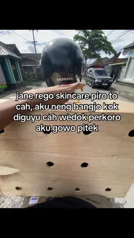 🤔🤔#fypシ #ayamindonesia #blitar24jam #ayambangkok #ayamhoby 