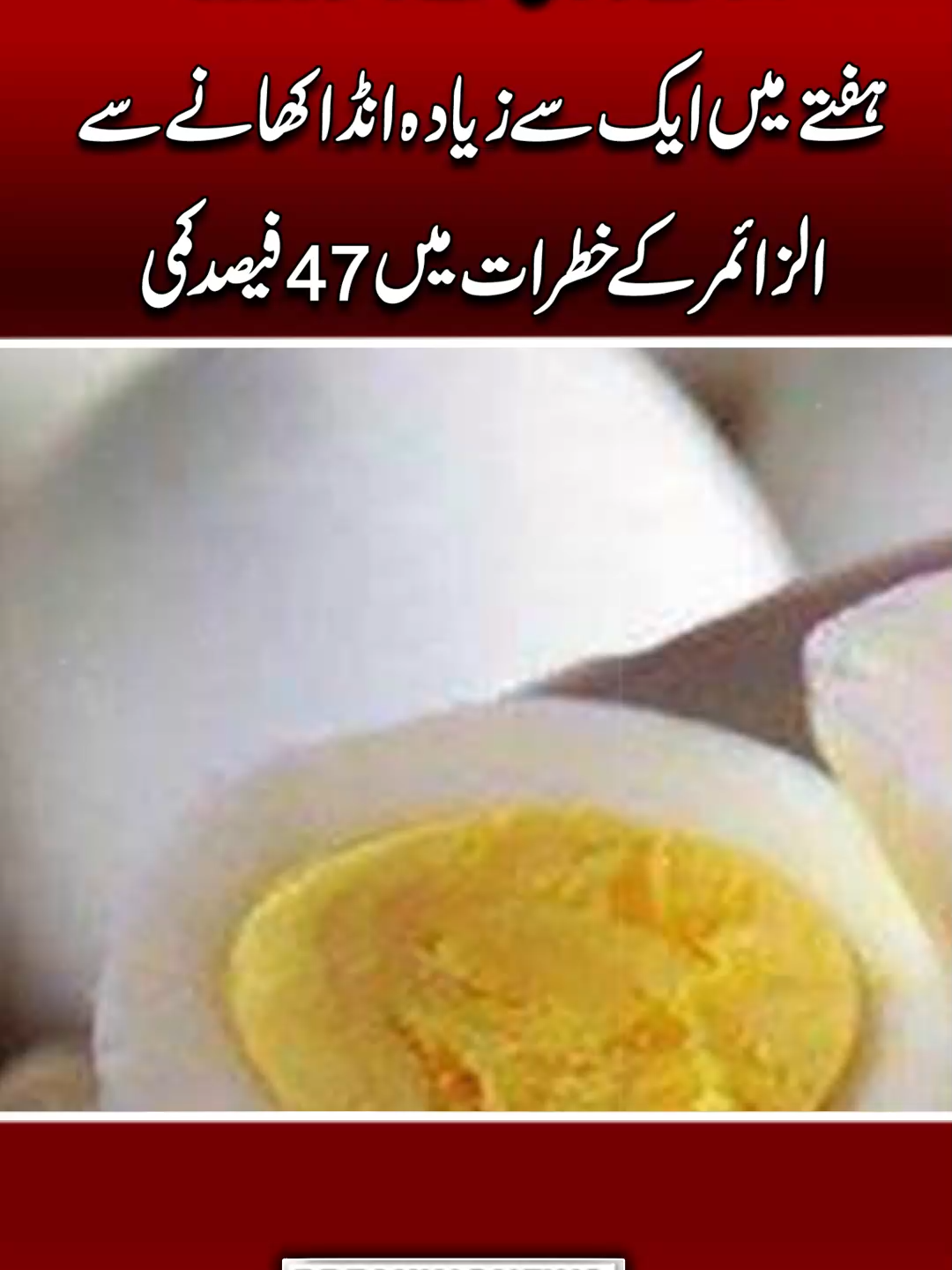 Anday Se Dimagh Ki Hifazat! Nayi Research Ne Sabko Hairan Kar Diya | Alzheimer Ka Khatra 47% Kum. #Jano.PK #AndayKeFaide #EggBenefits #BrainHealth #AlzheimerPrevention #UrduHealthTips #HealthyLifestyle #EggNutrition #DimaghKiHifazat #ScienceFacts #HealthNews #NaturalRemedies #MentalHealth #AndaySeFayda https://youtu.be/hqWYL6EG2Uw?si=dbyVROkHGM1HCDwX