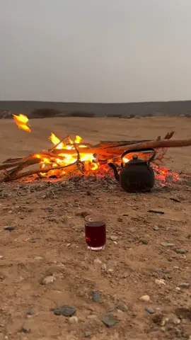 #وادي_الحكاك #براد_كايف #اكسبلور #شاهي #هواجيس 