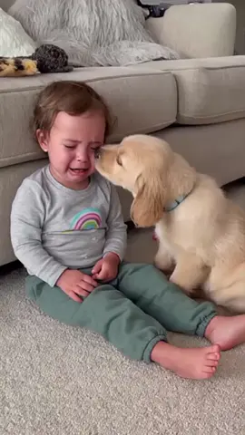 Baby and Dog Great Friendship❤️🥰#dog #baby #bestfriend #Love #foryou #usa🇺🇸 