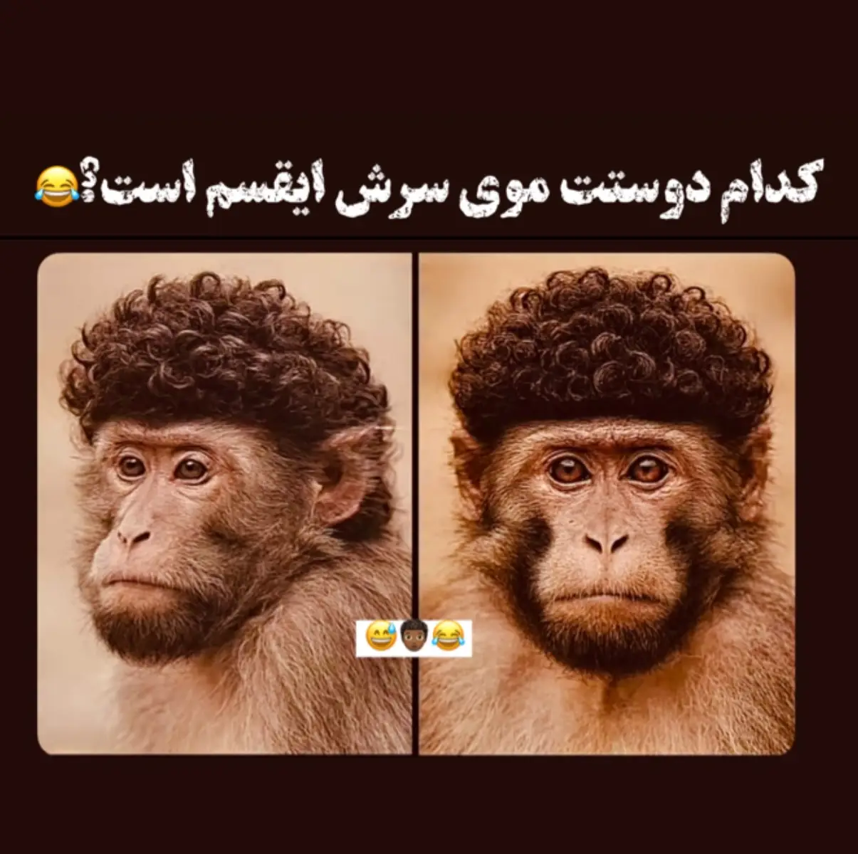 منشنش کو😂🧑🏾‍🦱😅 #funny #شوخی #خنده #😂😂😂 #بروفاریو😴👋🏼___faryoutiktak 