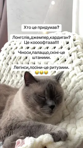 #гуморукраїнською #смішнівідео #блогукраїнською #гумор #котоскін 