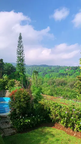 say you won’t let go | saran musik dm #jamesarthur #sayyouwontletgo #fyp 