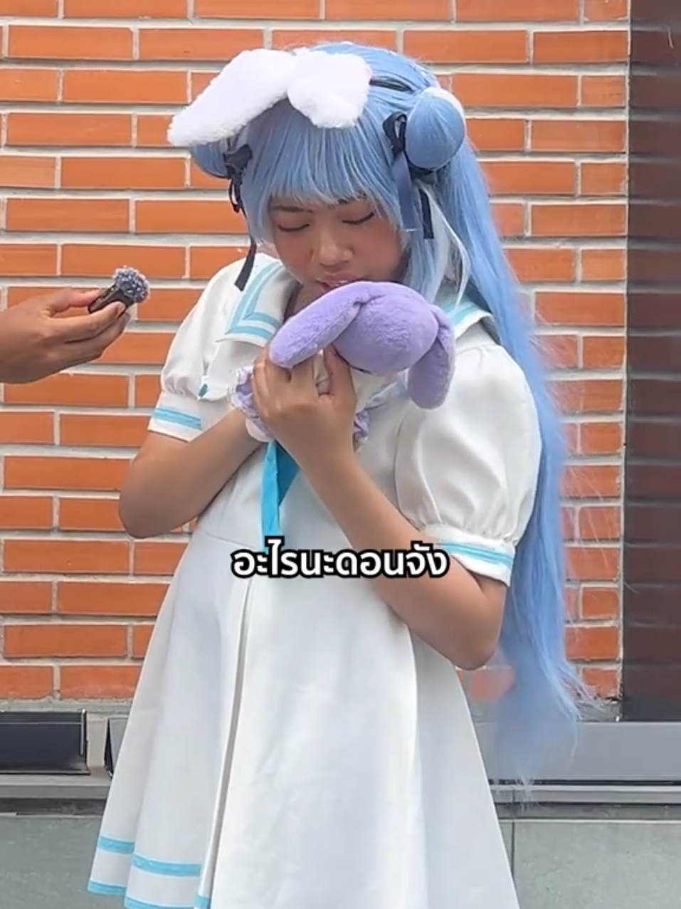 เช็คตัวละครที่คนแปลกหน้าเหมือน #usadapekora #fyp #futureboard