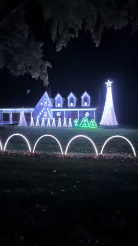 Dre, Snoop and The Bee Gees?! Somehow it works #fyp #lightshow #singingtrees #christmaslights #snoopdogg 