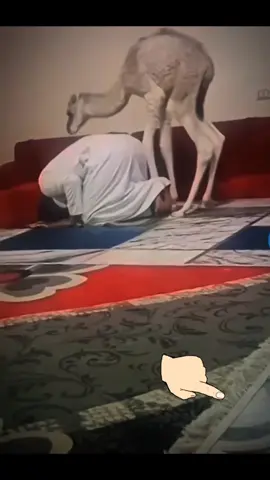 @Allah is one, Allah greatest. @﷽🕋Md🌿 SALIM🌿🤲 ﷺ🕋ﷺ @﷽🕋﷽ 🇧🇩Rezaul Munir  🇦🇪🕋ﷺ @﷽MD.ASHIK﷽ @﷽🕋﷽ Rony islam ﷺ🕋ﷺ @❤️💓﷽🕋﷽ Sk Mithu ﷺ🕋ﷺ💓💓 @🌹🤲﷽🕋﷽محمد ريبون ميا ﷺ🕋ﷺ🌹 @﷽🕋﷽ Md RofikuL Islamﷺ🕋ﷺ 