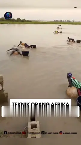 🛶 Kearifan Lokal Nelayan Afrika: Perahu Labu Saksikan tradisi unik nelayan di Afrika! Mereka mengubah labu besar yang dikosongkan isinya menjadi alat apung sederhana dan efektif—perahu labu—untuk menangkap ikan di perairan. Inilah gambaran nyata kecerdasan lokal dan kearifan bertahan hidup, di mana sumber daya alam dimanfaatkan secara kreatif untuk menopang mata pencaharian. Alat sederhana ini bukan hanya sarana transportasi air, tetapi juga cerminan gaya hidup tradisional yang telah diwariskan turun-temurun. Hasil tangkapan ikan yang melimpah menegaskan efektivitas metode kuno ini. #NelayanAfrika #KearifanLokal #PerahuLabu #TradisiNelayan #DokumenterMini