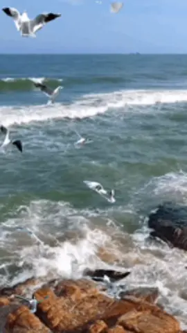 Lời triên tri xưa #congchuacuaanh #thamkhao #tintuc #tinnong #thongdiepvutru 