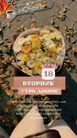 #доброе_утро #вторникутро #новыйдень 