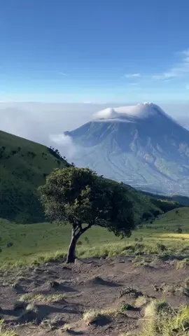 langit vibes #aesthetic #langitaesthetic #gunung#fyp #