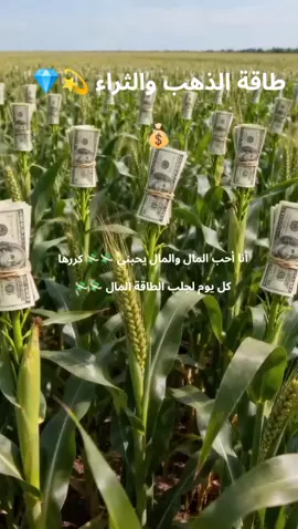 طاقة الذهب والثراء 💫💎💰 أنا أحب المال والمال يحبني 💸💸 كررها كل يوم لجلب الطاقة المال 💸💸#Many#اكسيبلور🔥💙 