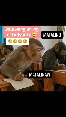 hahahaha 🤣🤣🤣🤣