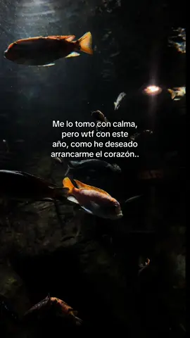 Cómo estás hoy?  #mujereslatinas #aquarium #frasesdeamor #compartir #fyppppppppppppppppppppppp 
