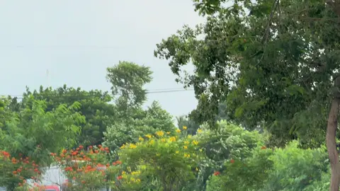 মার্সিডিজ এর কড়া টান 😍 #viralpage #foryou #highlight #nationalhighway #bangladesh 