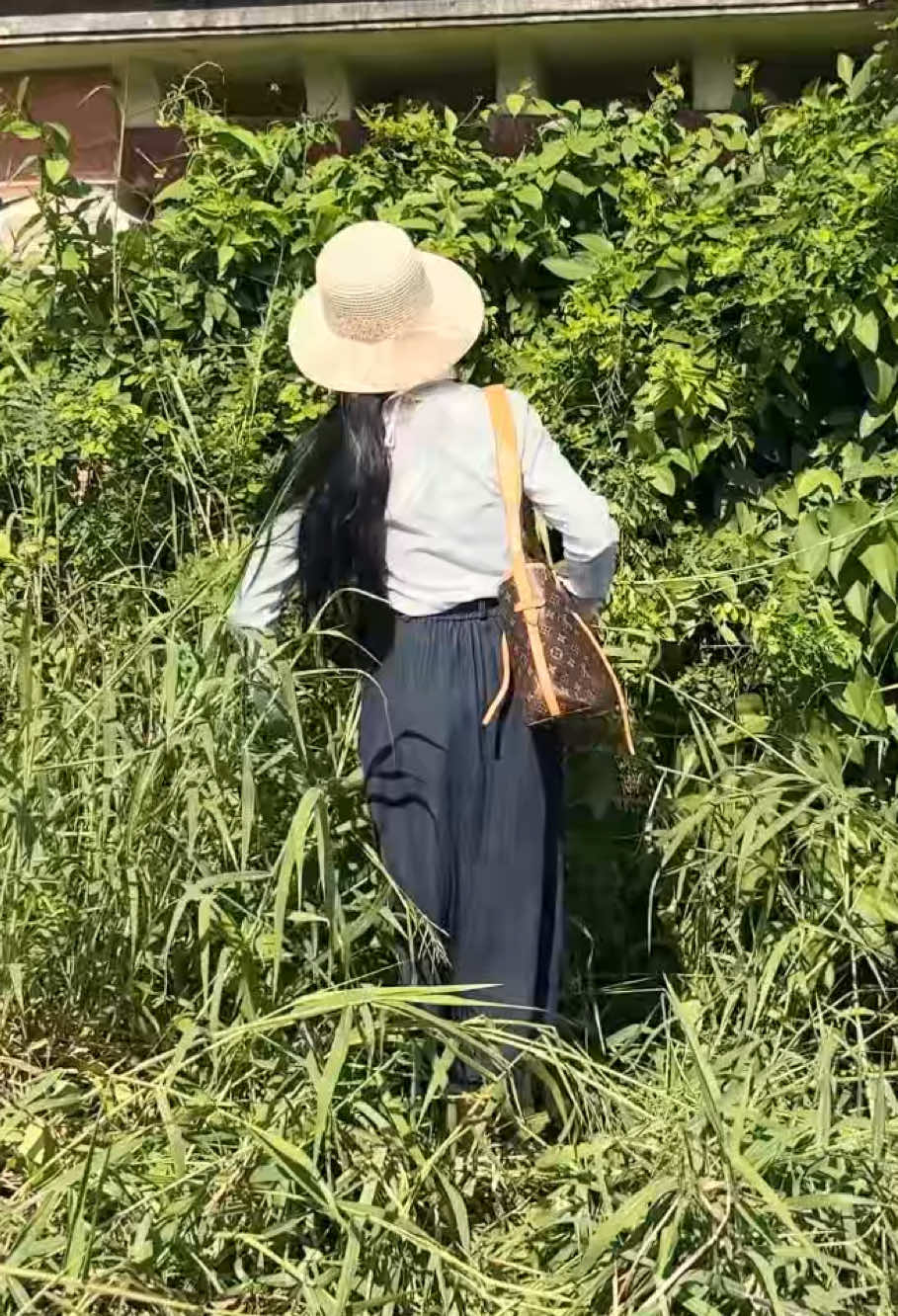 #mowing #cleanup #edging #cleaningtiktok 