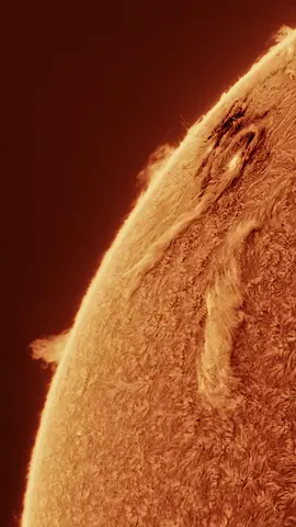 Sun spot 4274 gave us some of the most activity we’ve had in a while and was the reason we had the northern lights as far south as Texas and Florida this past week.  So enjoy this compilation of time lapses of 4274 and some other regions of the sun!  #universe #space #sun @Daystar Filters @SVBONY Official Astro 