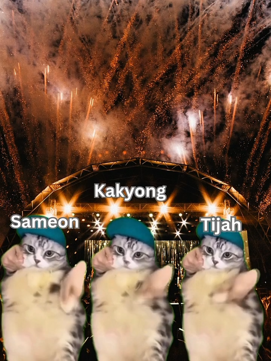 Based on true story #meme #cat #student 