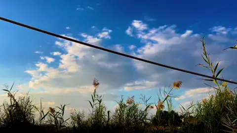 حقها الناس ما تعرف بضيم الناس … 💔🙂 #اليوسفيه_ديار_العز🌱🌱 