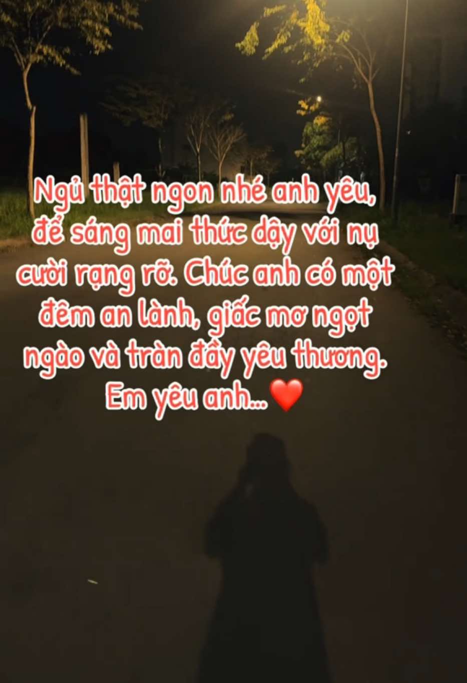 Ngủ ngon anh nhé..!🥰 #xuhuong #tinhyeu #ngoailecuaem #ngungonnhe #sàigòn 