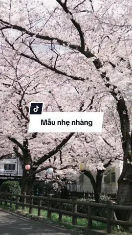 欲语未语时最真 将见未见时最好。 “ Lời muốn nói mà chưa nói ra là chân thật nhất, người sắp gặp mà chưa gặp lại là đẹp nhất.” #tdzzzz #CapCut 