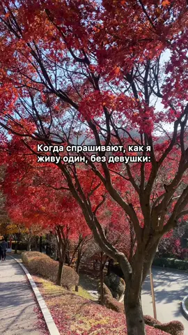 🫠 #юмор #прикол 