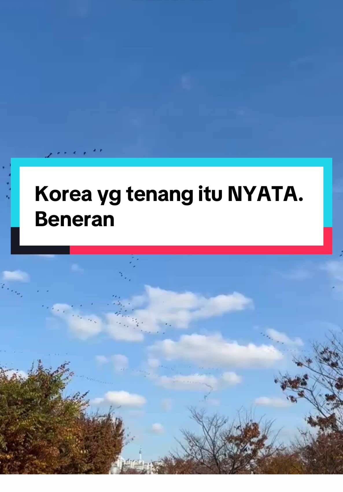 Di #anytimekoreatour, kamu bisa nikmatin tempat kyk gini tanpa kejar-kejaran waktu. Bs foto sepuasnya, bs duduk lama, bs narik napas dl sebelum lanjut jalan.     #anytimekoreatour #liburankorea #koreatrip #privatetourkorea #travelkorea 