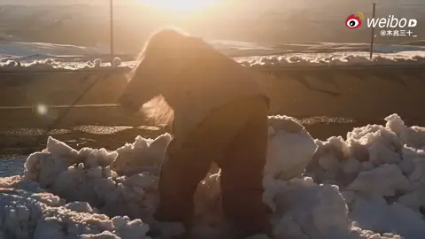 2 c ta đi du lịch mà giờ mới update đó 🙄🤭🤭#danke#đảnxác #zhengdanni#chenke#trịnhđanny 