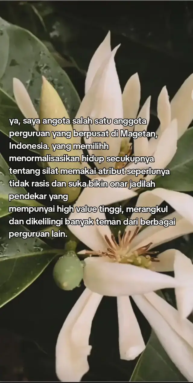 #pscp1974 #pscpindonesia #pscppusatmagetan #pscppenthuk 