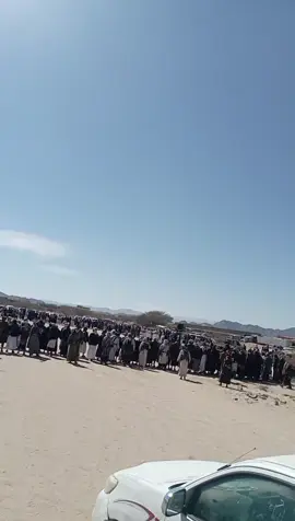 بيض الله وجييهكم يا همام #العولقي_عزوتي_شبوه_العوالق #المقارحه🦅 #شبوه_ديرتي_مسقط_الراس💕 