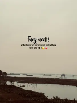কিছু কথা বাকি ছিলো যা আর হয়তো কোনো দিন বলা হবে না..!😅❤️‍🩹