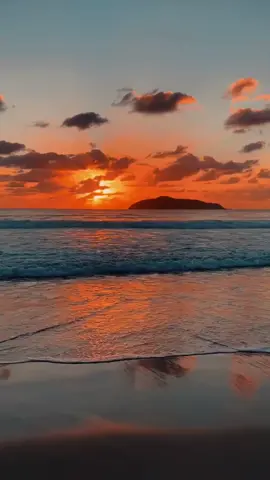 ketempelan si gembull🫣 #catsoftiktok  #cutecat  #catlover  #funny  #fyppppppppppppppppppppppp 