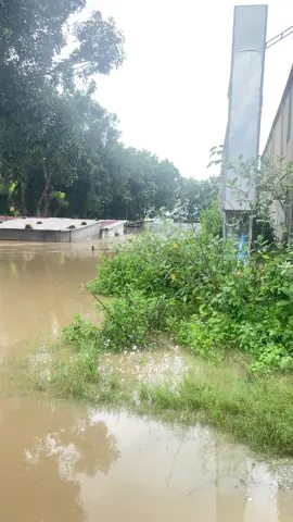 Vùng đất nắng gió cũng ko thoát khỏi cơn giận dữ của mẹ thiên nhiên #thientai #lulut 