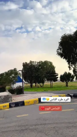 #تصويري #النماص #ممشى_الضباب 