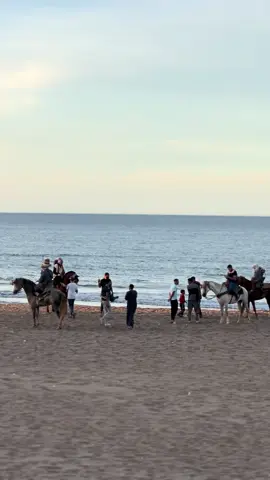 #portsay❤ #cheval #الخيالة #plage #ترند المرأة عورة