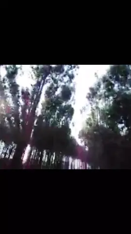 #digitalcamera #digicam #dark #fyp 