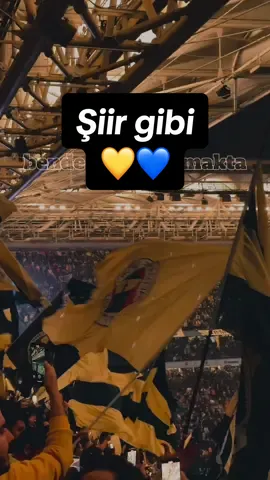 Çok özledik Fenerbahçemizi… 💛💙 #fenerbahçe #fenerbahce #fenerbahçe💛💙 #fyp #zalim @Fenerbahçe SK 