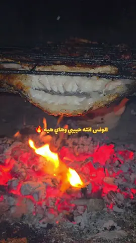 طلعات مشاوي عالكيف #مشاوي #طلعات #سمك #حطب_ونار🔥 #الشتاء 
