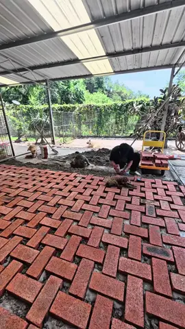 Chắc chỉ có ở quê thì mới thấy được sàn gạch như này thui 😍😍😍#decoration #trending #tipsandtricks #DIY #decor 