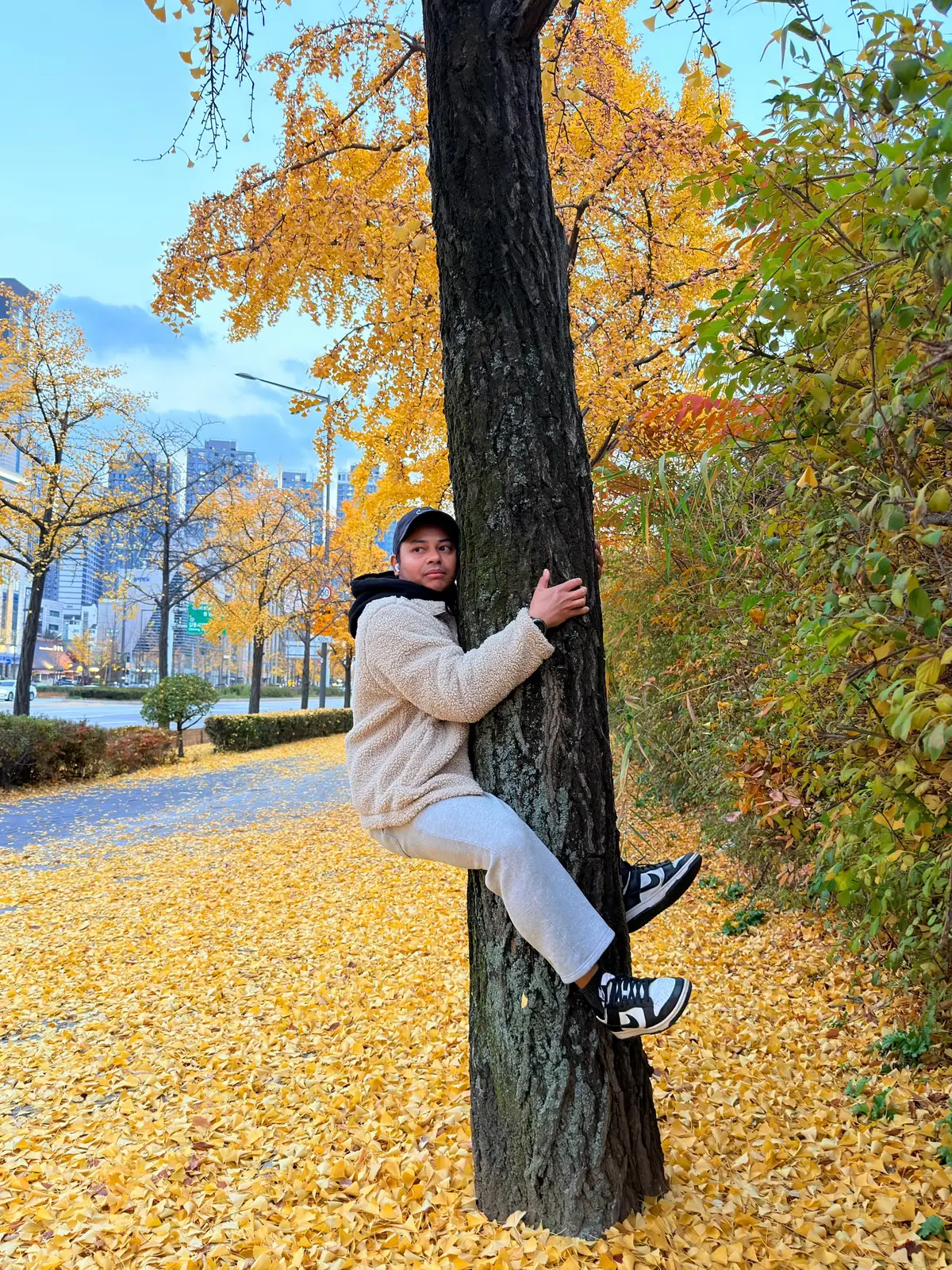 AKU BUKAN TUPAI 🐿️🐿️ Golden days before everything falls away  #서울 #올림픽공원 #autumn #seoul #seoulautumn #서울  #서울단풍 #가을단풍    @Jeremy Junior 