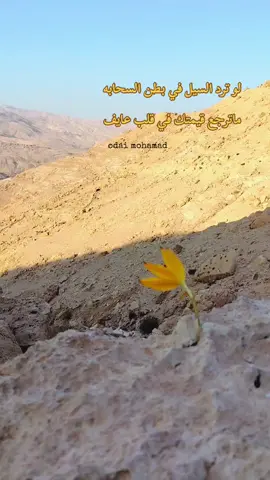 #اريش_العين #الكرك #الباديه #بدوي 