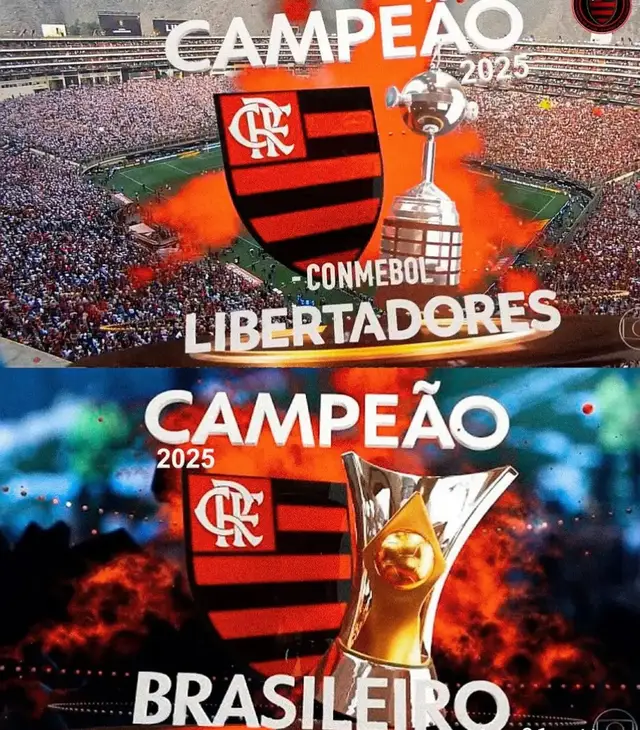 #flamengo #campeaonatobrasileiro #libertadores 