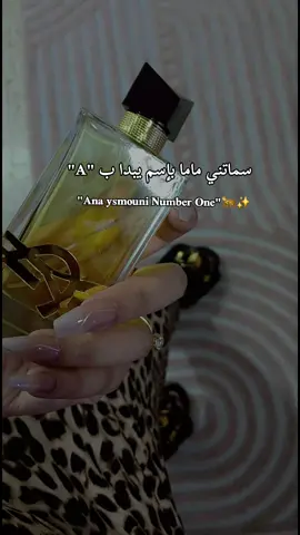 #TrendMomentos #fyp #annaba23🇩🇿 