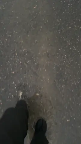 #كامري2024 #e #fyp #تيوتا 