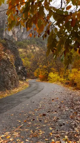 #gondehrore #kurdistan #foryou 