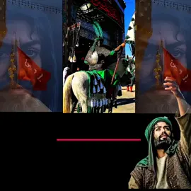 #الملاية_ام_جعفر_الجيزاني #ياعباس_دخيلك_تسمعني_وادري_ماتخيبني #tiktok #explore #creatorsearchinsights 